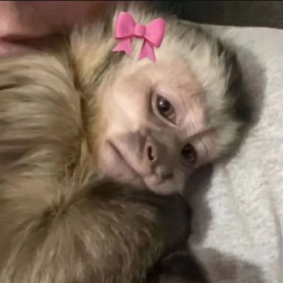 anon09876434's profile picture. 