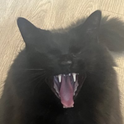 YeeterPeeter51's profile picture. I’m YeeterPeeter 
I do art and play vr chat 
I have adhd and I’m kinda stupid