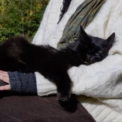 lliilwest's profile picture. 
