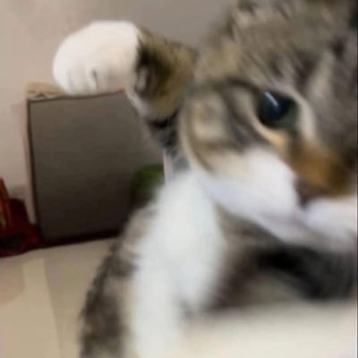 Candlehead29's profile picture. 😈😈😈😈