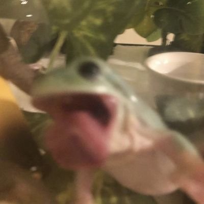 JoninaS48389's profile picture. ajxwhbsysjs