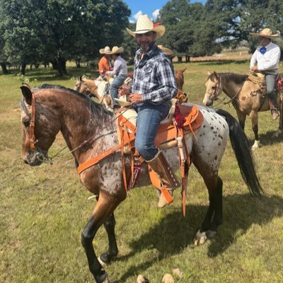 castillogodina's profile picture. Ingeniero Civil, U de G, Caminero!!