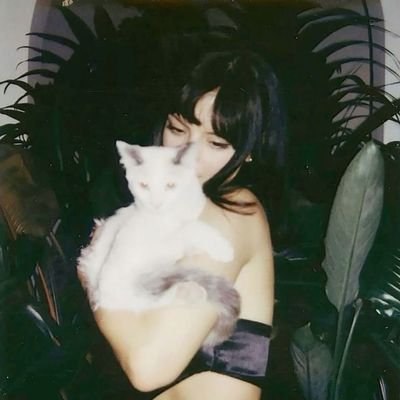 shirebusking's profile picture. ako ay alipin ng walang kasiguraduhan