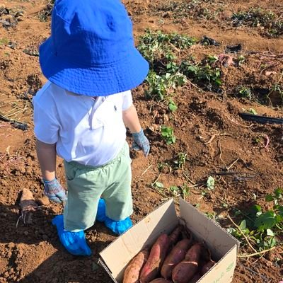 heisland's profile picture. 