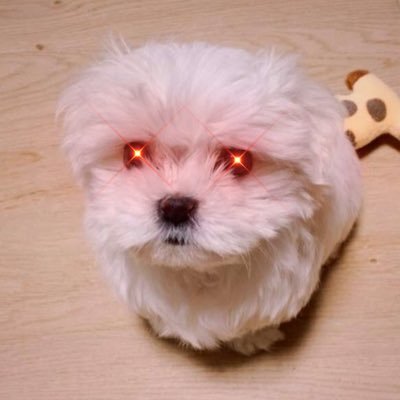 doyoulover's profile picture. #Freedom🧡 ₿