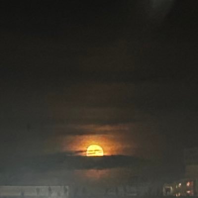 shion_0110's profile picture. B