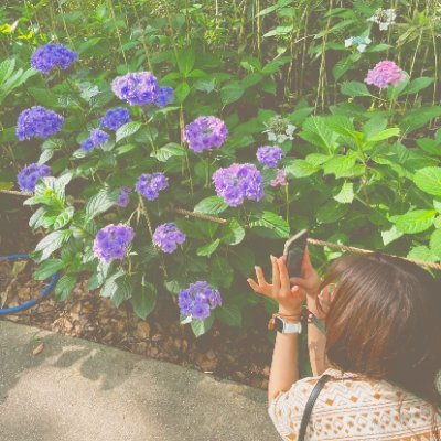 tutawaru_sik's profile picture. “見せる”映像を、“伝わる”映像へ。SNS動画 / 企業PR / 店舗紹介 映像制作 構成と編集で、ブランドを“伝わる”形に。 ご依頼はDMまで