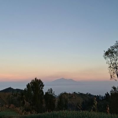 songgseorae's profile picture. 