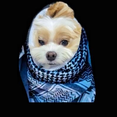 10bloeybiru's profile picture. ✨️🤍¡HALA MADRID!🤍
(*^-^)/\(^-^*)🪄✨️