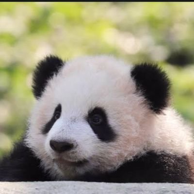 phanindra99's profile picture. Chalmerist, Formula 1 Enthusiast, Linux, DevOps.