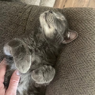 b0ltCS2's profile picture. 