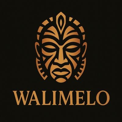 itswalimelo's profile picture. Singer/Songwriter/Producer 🎹 
IG: @walimelo