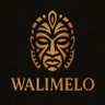 itswalimelo's profile picture. Singer/Songwriter/Producer 🎹 
IG: @walimelo
