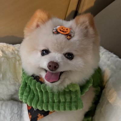 Cynthiaaagghh's profile picture. 