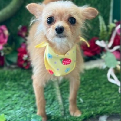 trywifi171237's profile picture. 