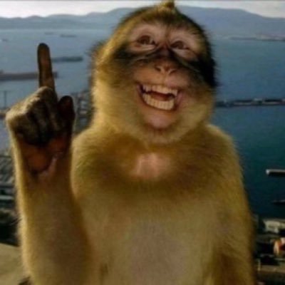 Saurav_Maher's profile picture. Embarrassment is an under explored emotion so out here to make a fool of myself.