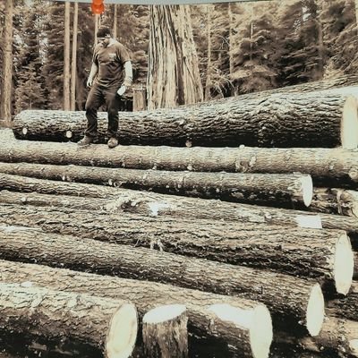 The_1_LogFather's profile picture. Just a B.A.M.F from the woods, an old school logger in a new school life. 
Supplier of Top Tier Wood. Smashing life every day & Good Sluts as often as possible.
