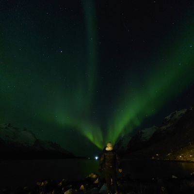 cdoMdH1ayw17266's profile picture. 