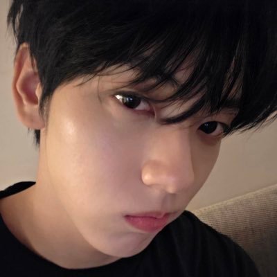 soogyustrap's profile picture. all they were—all they had ever been—was a pair of sunflowers who each believed the other was the sun