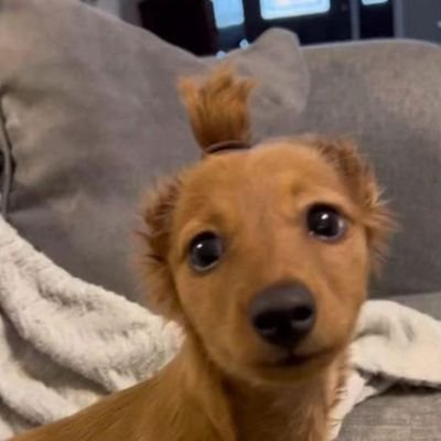 njannevin's profile picture. 🌷