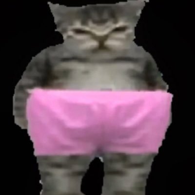 wuerkV2's profile picture. extremely pragmatic hypergambler