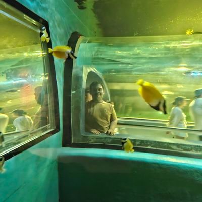 phr_kul40517's profile picture. 