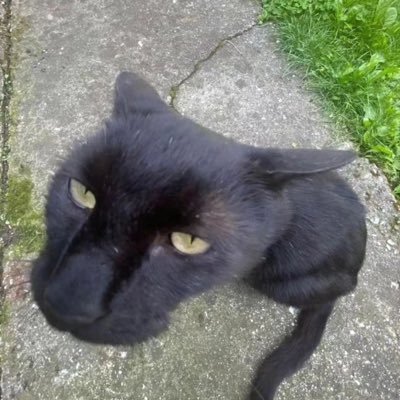 deathofanarson's profile picture. 