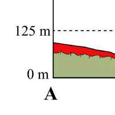 didipadidivv's profile picture. ip 5