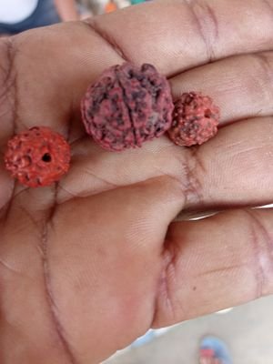 SanjoyBisw49868's profile picture. 