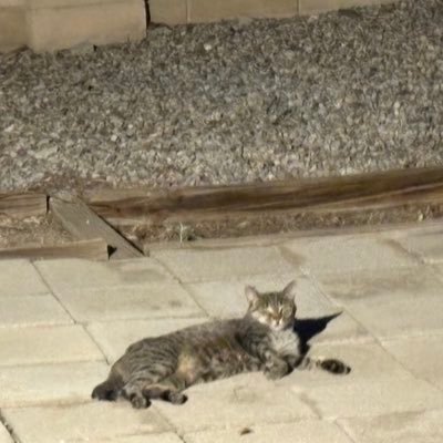 ak_alexanderW's profile picture. Liberté, égalité, fraternité