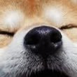Koakumari's profile picture. 