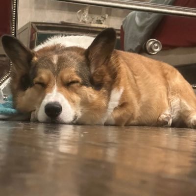 VeerTG's profile picture. I’m him (15) (20x fncs winner trust) also clix and nrg are the goats as well as Sabrina carpenter and mbappe