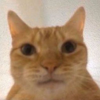 qldhcbejj's profile picture. 