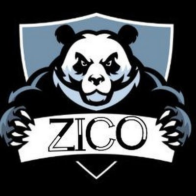 ZicoTurchetti's profile picture. 