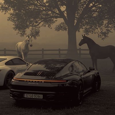 PogoTimothy's profile picture. THE 44TH SEAGULL. LOOK WHAT A BROKEN MAN CAN DO.