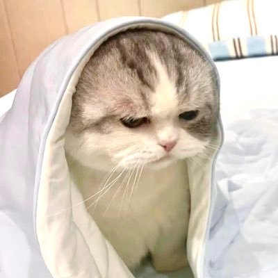 CHONLYz's profile picture.