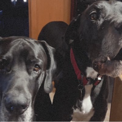 gamore88426's profile picture. 