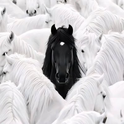 fannnymoh's profile picture. 
