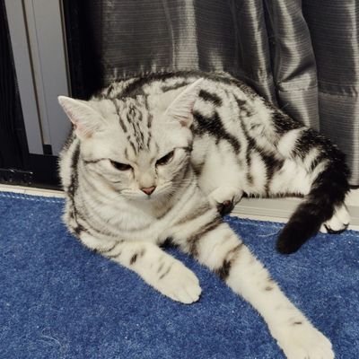 5524in1188's profile picture. はじめまして！愛知の風俗店員で
業界歴約10年オーバーの異端児です！
タクト系しか伸びないので
こちらはタクトと日常垢になります！！
よろしくお願いします！！
#シャドバ、#ドラクエタクト、パチンコ、麻雀が好きです！