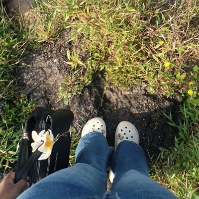 icedoutshit's profile picture. just some pretty mess 🧁🫟