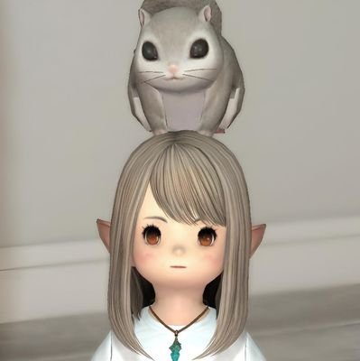 Iris358369's profile picture. 🍀メイン🜸(まめ子)🍀サブ色々‼️ ふらっとSS撮りに行ってます📷
早寝早起き派です🐑💤
見た目がよく変わります💊
仲良くしてもらえると嬉しいです🍡