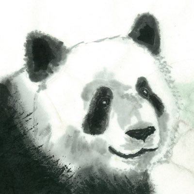 NiMingDa_888's profile picture. Geopolitics with Chinese characteristics.
