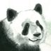 倪明达 (Ni Mingda) Profile picture