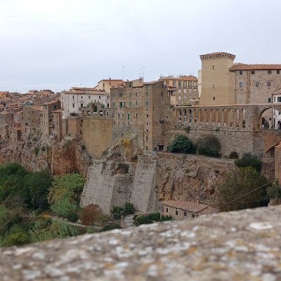 ndveronew's profile picture. 
