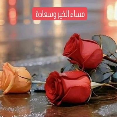 @igg_kt