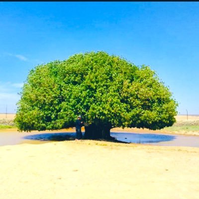 Ads270's profile picture. #