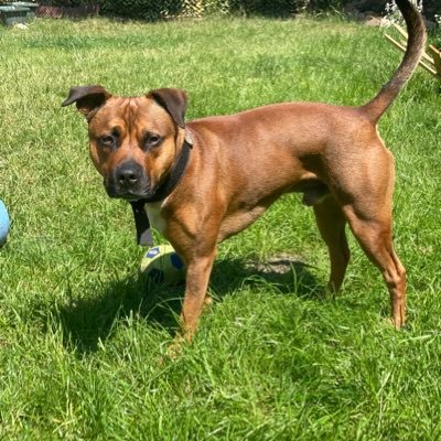 ElizaWoods1403's profile picture.