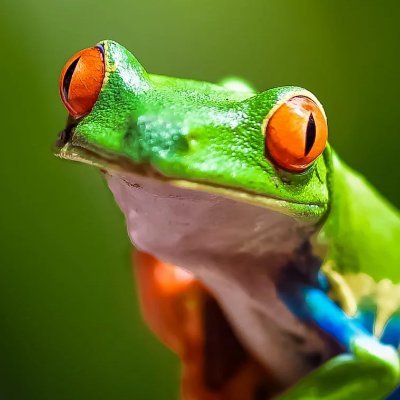 spid3rc0de's profile picture. 