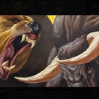 HseyinGergin14's profile picture. 