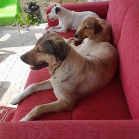 TOLGA🇹🇷 (@tolgaburak_1905) 's Twitter Profile Photo